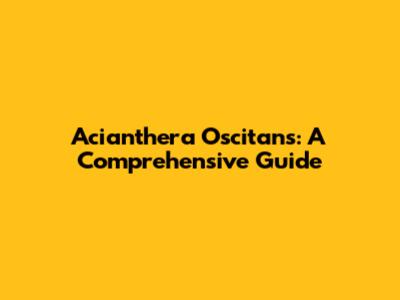 Acianthera Oscitans: A Comprehensive Guide