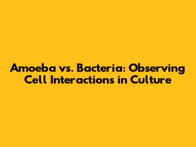 Amoeba vs. Bacteria: Observing Cell Interactions in Culture