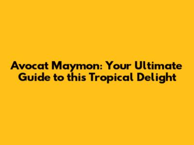 Avocat Maymon: Your Ultimate Guide to this Tropical Delight