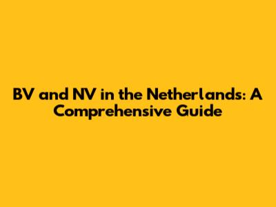 BV and NV in the Netherlands: A Comprehensive Guide