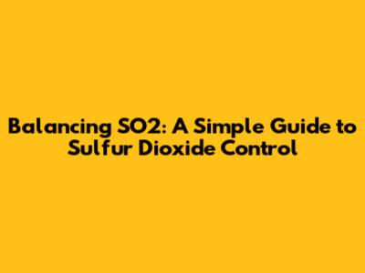 Balancing SO2: A Simple Guide to Sulfur Dioxide Control