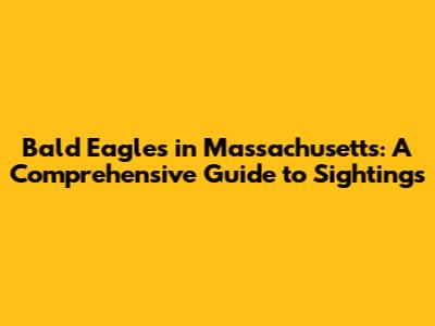 Bald Eagles in Massachusetts: A Comprehensive Guide to Sightings