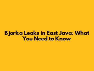 Bjorka Leaks in East Java: What You Need to Know