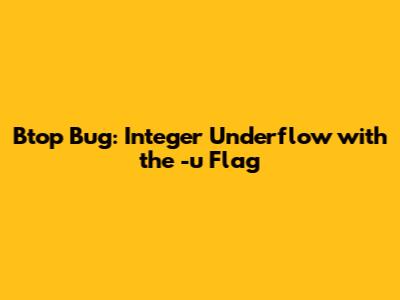 Btop Bug: Integer Underflow with the -u Flag