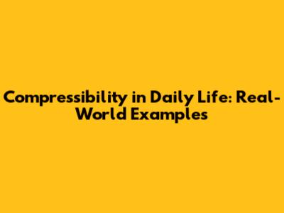 Compressibility in Daily Life: Real-World Examples