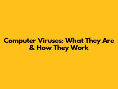 Computer Viruses: What They Are & How They Work