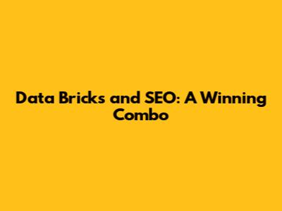 Data Bricks and SEO: A Winning Combo