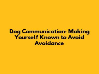 Dog Communication: Making Yourself Known to Avoid Avoidance
