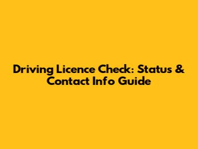 Driving Licence Check: Status & Contact Info Guide