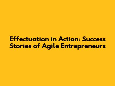Effectuation in Action: Success Stories of Agile Entrepreneurs