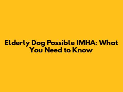 Elderly Dog Possible IMHA: What You Need to Know