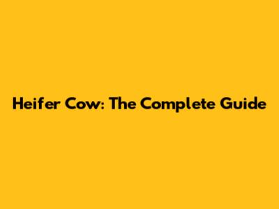 Heifer Cow: The Complete Guide