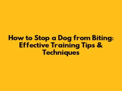 How to Stop a Dog from Biting: Effective Training Tips & Techniques