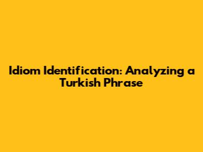 Idiom Identification: Analyzing a Turkish Phrase