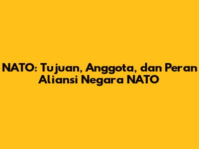 NATO: Tujuan, Anggota, dan Peran Aliansi Negara NATO