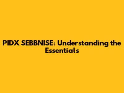 PIDX SEBBNISE: Understanding the Essentials