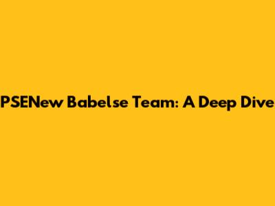 PSENew Babelse Team: A Deep Dive