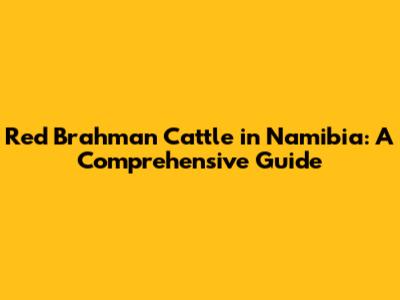 Red Brahman Cattle in Namibia: A Comprehensive Guide