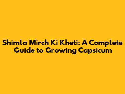 Shimla Mirch Ki Kheti: A Complete Guide to Growing Capsicum