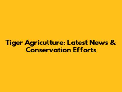 Tiger Agriculture: Latest News & Conservation Efforts