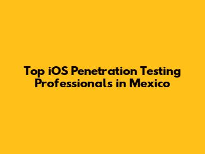 Top iOS Penetration Testing Professionals in Mexico