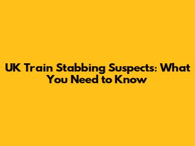 UK Train Stabbing Suspects: What You Need to Know