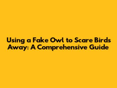 Using a Fake Owl to Scare Birds Away: A Comprehensive Guide