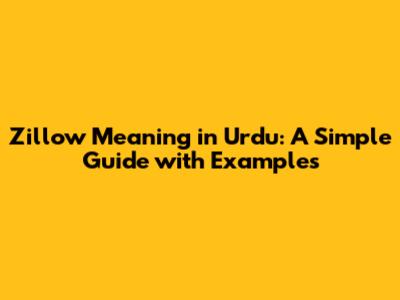 Zillow Meaning in Urdu: A Simple Guide with Examples